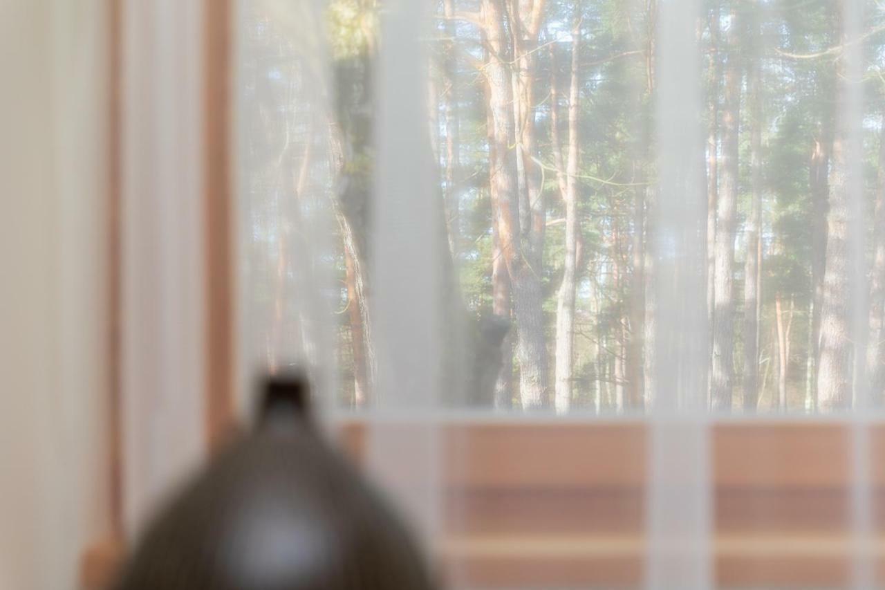 Apartamentai Tylios Pusys بالانغا المظهر الخارجي الصورة